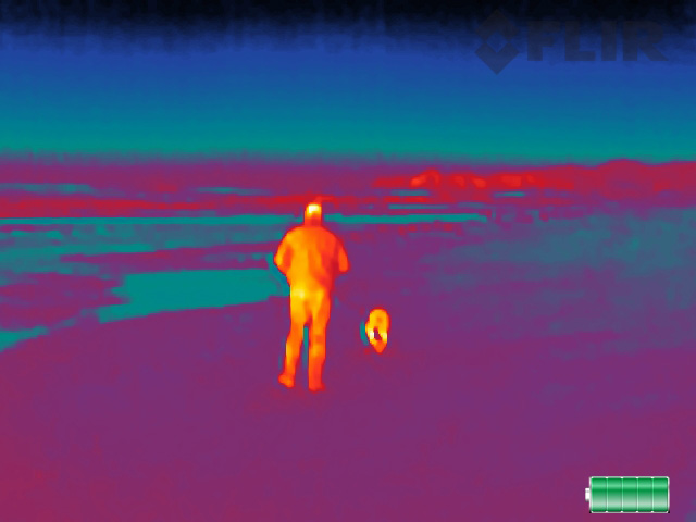 Walking a Dog on a Beach