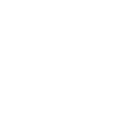 Input icon
