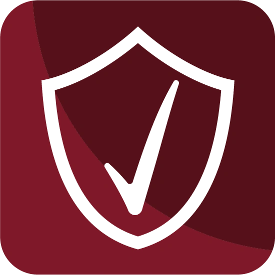 Quality Inspection Icon