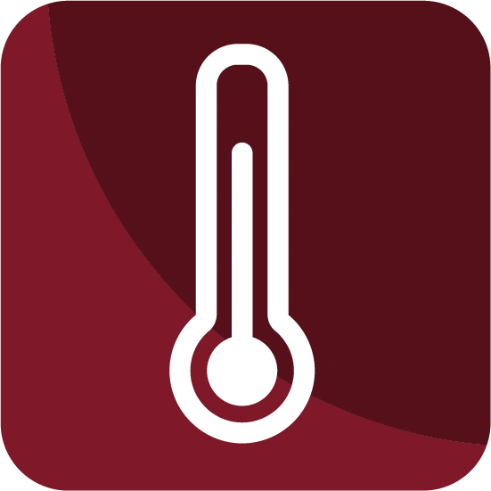 Temperature Icon