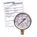 Vacuum Pressure Gauges