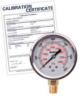 Baker AVNC Series Liquid Filled Pressure Gauge, 0 to 6000 psi/0 to 42,000 kPa, 2.5&amp;quot; dial, &amp;frac14;&amp;quot; NPT bottom, SS housing,-