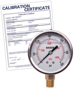 Baker AVNC Series Liquid Filled Pressure Gauge, 0 to 600 psi/0 to 4200 kPa, 2.5&amp;quot; dial, &amp;frac14;&amp;quot; NPT bottom, SS housing,-