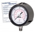 Baker LF45 Series Liquid Filled Pressure Gauge, 0 to 600 psi/0 to 4200 kPa, 4.5&amp;quot; dial, &amp;frac14;&amp;quot; NPT bottom, impact resistant phenolic case,-