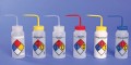 Bel-Art 11732-0009 Safety-Labeled Wide-Mouth Wash Bottles with 4-color labels, LYOB, 32 oz-