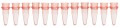 Bio Plas 5020-2 Thin Wall Micro Tube, 12 Tubes/Strip, 0.2mL, Red, (Pack of 100)-