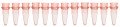 Bio Plas 5020-2 Thin Wall Micro Tube, 12 Tubes/Strip, 0.2mL, Red, (Pack of 100)-