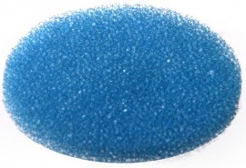 Bio Plas 6110 Biopsy Pads, 29mm Diameter, Blue, (Pack of 1000)-