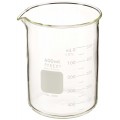 Branson 000-140-004 Beaker, Glass, 0.15 gal (600 ml)-