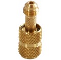 CPS AB410 Pro-Set MicroSeal Anti-Blowback Valve-