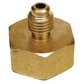 CPS AD61 Tank Adapter, 3/8in SAE x 3/4in-14-