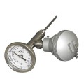 Digi-Sense 93820-48 Twin Temperature Thermometer with RTD transmitter, 0 to 250&amp;deg;F, 4&amp;quot; stem-