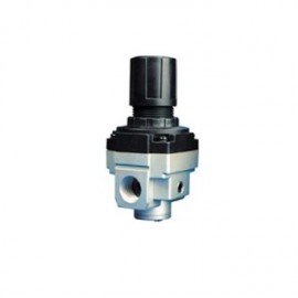 Dwyer R1-1120 Regulator, 1/8&quot;NPT, 120 Psi-