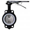 Dwyer WE20-GHD00-WP Manual Wafer Style Butterfly Valve (8") with PTFE Liner-