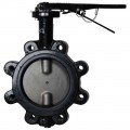 Dwyer WE20-HHD00-LP Manual Lug Style Butterfly Valve (10") with PTFE Liner-