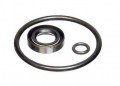 Fluke P5515SK Seal Kit-
