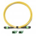 Fluke Networks TRC-SM-VERIFY-MPO12U Reference-Grade CertiFiber Max Single-Mode Verification Cord for unpinned MPO 12-