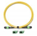 Fluke Networks TRC-SM-VERIFY-MPO24U Reference-Grade CertiFiber Max Single-Mode Verification Cord for unpinned MPO 24-