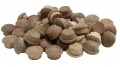 General Tools 311012 1/2&quot; Oak Button Plugs, 50-packs-
