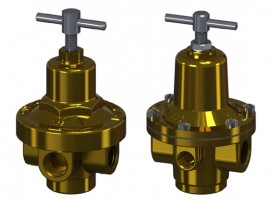 Generant HCR-100 &amp;frac14;&amp;quot; Relieving Repair Kit-