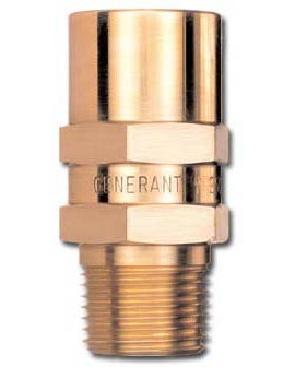 Generant VRVI Vent Relief Valve, &amp;frac14;&amp;quot; port size, 5 psig-