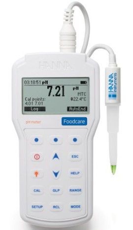 Hanna HI 98161 Foodcare Professional Portable pH Meter-