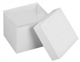 Heathrow Scientific HS2860M Cardboard Cryogenic Tube Storage Box and Lid, 10-pack-