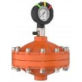 Icon Process Controls PPPF-050-S PulsePro® Pulsation Dampener, 1/2&quot;, 316 SS-