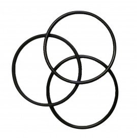 Monarch 5396-9931 Track-It Extreme Temperature Logger Replacement O-Rings, 3-Pack-