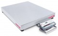 OHAUS D52P250RQV5 Multifunctional Low Profile Bench Scale with plastic indicator, 500 lbs. capacity-