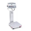 Ohaus D52XW12WQS6 Defender 5000 Column-Mount Washdown Bench Scale, 25 lbs, 10 x 10&amp;quot; platform-
