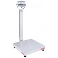 Ohaus D52XW50WQV8 Defender 5000 Multifunctional Bench Scale, 100 lbs, 24 x 24&amp;quot;-