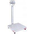 Ohaus D52XW50WQV8 Defender 5000 Multifunctional Bench Scale, 100 lbs, 24 x 24&amp;quot;-