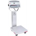 Ohaus D52XW5WQS6 Defender 5000 Multifunctional Bench Scale, 100 lbs, 10 x 10&amp;quot;-