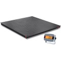 OHAUS i-DF33P5000B1L DEFENDER&amp;trade; 3000 Floor Scale with ABS indicator, 5,000 lbs (2,500 kg), 4&#039; X 4&#039;-