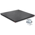 OHAUS i-DF52XW2500B1L DEFENDER&amp;trade;5000 Floor Scale with SS display, 2,500 lbs (1,250 kg), 4&#039; X 4&#039;-