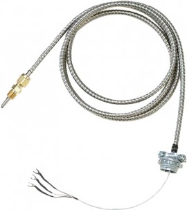 Omega CFTF-000-RTD-2-60-1 Extruder RTD Probe, Straight, 3/16" dia x 2", 1/8" NPT, Pt100-