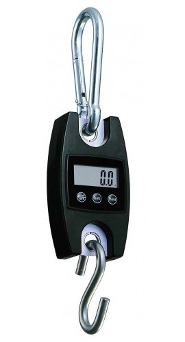 Pesola PHS100 Compact Hanging Scale, 100kg-