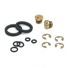 Ralston DV0V-REPK DV0V Pump Repair Kit, brass-