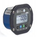 Ralston Field Gauge LC30 Pressure/Vacuum/Temperature Sensor Gauge, 3000 psi, back mount-