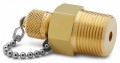 Ralston QTFT-6MB0 Male NPT x Male Quick-Test Adapter with cap and chain, 0.75&quot;, brass-