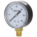 REOTEMP PD25 General Purpose Gauge with bottom mount, 2.5&amp;quot; dial, 0 to 100 psi-