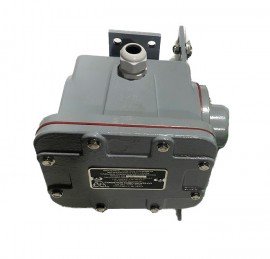 Thermo Scientific DB-100 Belt Rip Detector, NEMA 4-