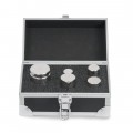 Troemner 80861108 Electronic Balance ASTM Class 1 Weight, 100g to 1kg Set-
