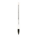 VEE GEE 6603-9 Precision Specific Gravity Hydrometer, 3 to 4, 0.01-