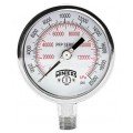 Winters PFP825 Premium Stainless-Steel Liquid Filled Pressure Gauge, 0/160 psi/kPa, 0.25&amp;quot; bottom-